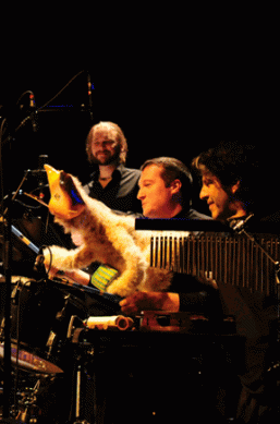 Gondolier_pecussions_LPG